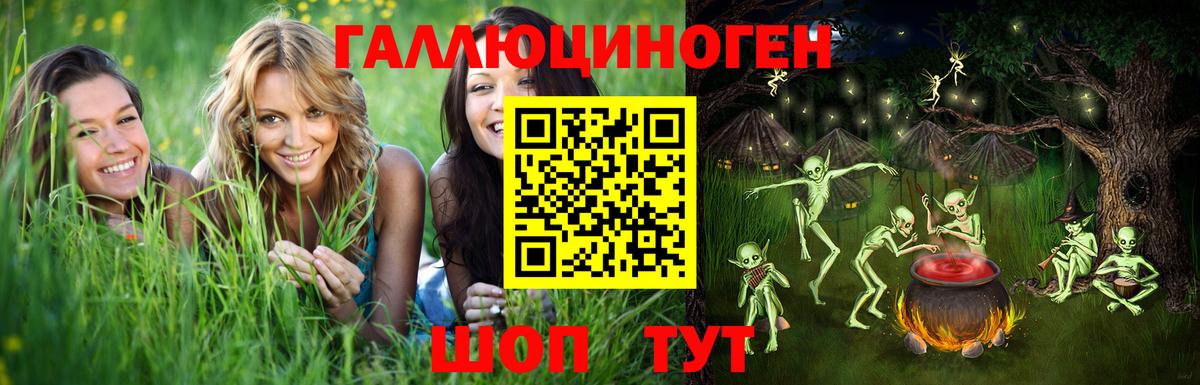 продажа наркотиков  Галлюциногенные грибы GOLDEN TEACHER  Сухой Лог  Вход с VPN  Псилоцибиновые грибы MAGIC MUSHROOMS 